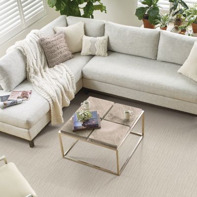 beige carpets in a bright Florida living room 