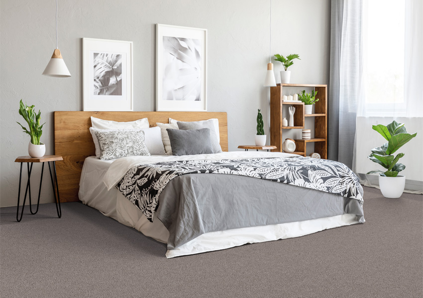 grey carpet in bedroom with plants.